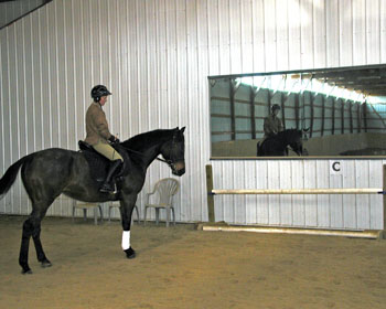 rider standing before mirror