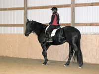 Brenda riding Princeton in a lesson