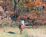 mary riding cobalt