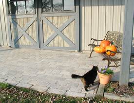 pavers, bench with pumpkins on it