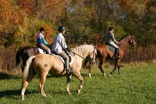 three riders in the park