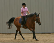Sherry riding tula in the outdoor arena