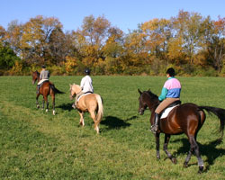 trail ride in fall foliage